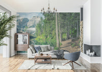 South Tyrol landscape mountain wallpaper with trees, lake shoreline, and nature depth