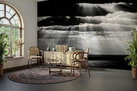 A serene dotted pattern wall mural for your decor.

