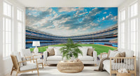 Stadium View Wall Mural