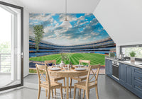 Stadium View Wall Mural