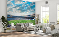 Stadium View Wall Mural