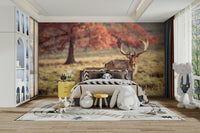 Gentle autumn tones surrounding a regal stag

