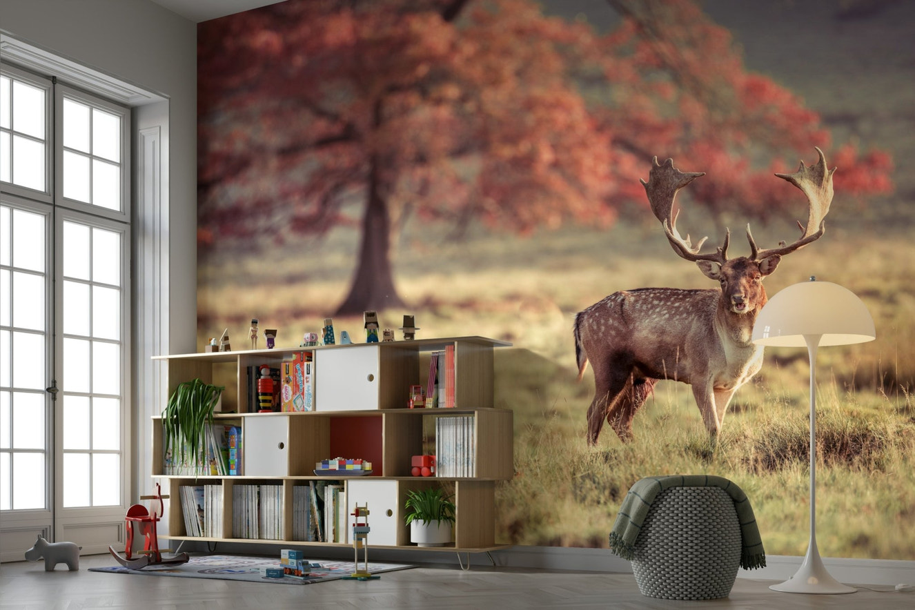 Stunning stag wallpaper mural in nature setting

