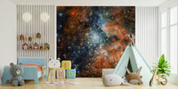 Starlight Vista Wall Mural showcasing a shimmering milky way in a primary bedroom.