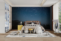 Starry Night Wallpaper