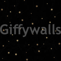 Stars on black sky mural bringing celestial charm indoors

