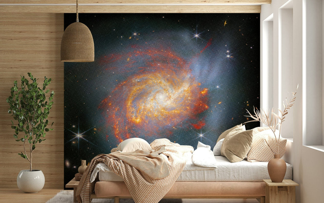 Stellar Canvas Wall Mural
