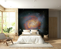 Stellar Canvas Wall Mural