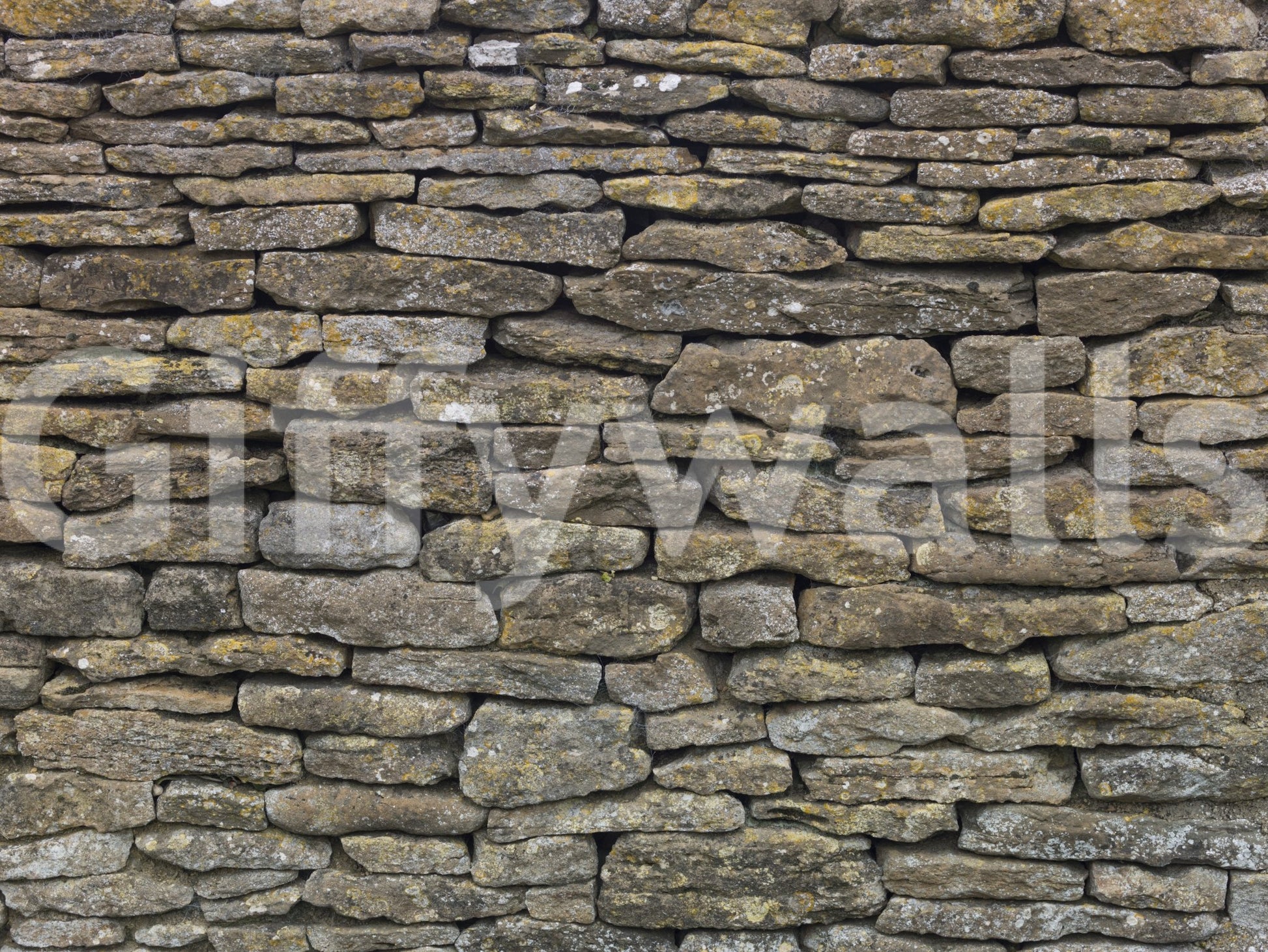 Subtle shadows and highlights.