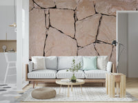 Stone Cladding Texture Wall Mural -2306806