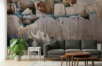 Stone Geometry wallpaper mural in grey and tan stone behind a charcoal sofa and monstera plant in a living room