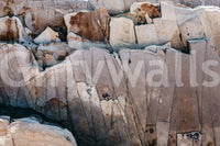 Stone Geometry wallpaper mural close-up showing the cracked beige, tan and grey fractured rock pattern detail