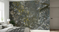 Stone Texture Wall Mural featuring realistic natural stone patterns in gray and beige tones.