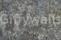 Stone Whisper Wall Mural -2566589