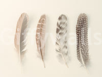 Soothing and inviting wall art.

