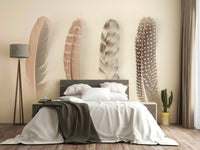 Various types of bird feathers.

