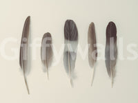 The design is non-realistic and interpretive.

