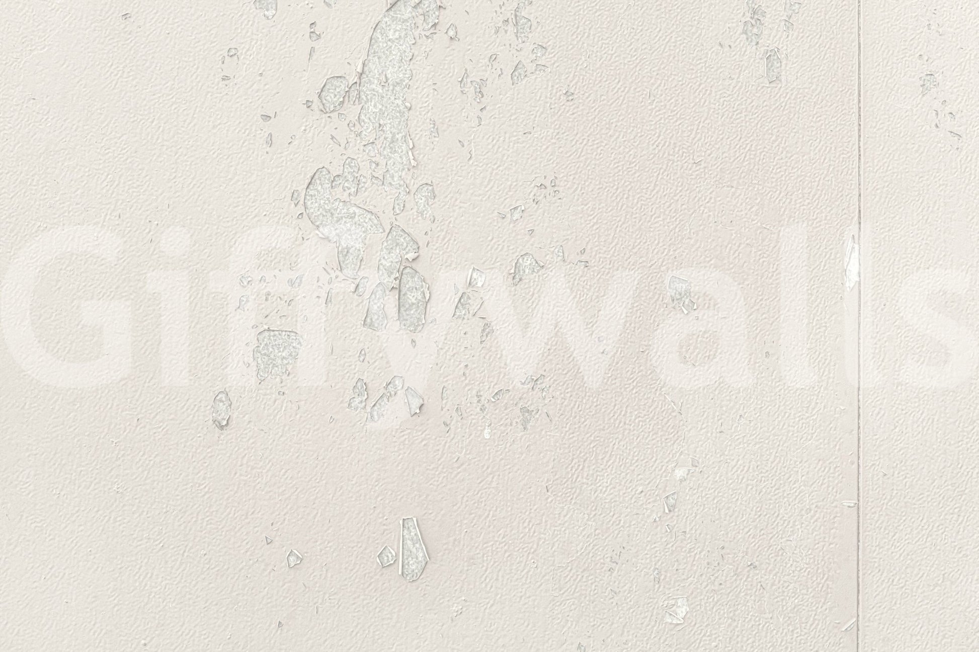 Subtle Texture wallpaper mural close-up showing the soft cream plaster with delicate distressed flecks