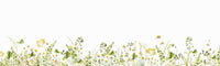Light and airy floral mural wallpaper

