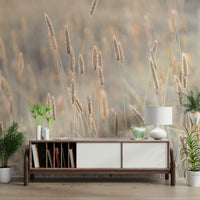The design gives a feeling of quiet, natural beauty.

