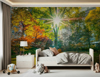 Sun Rays Through Trees Wall Mural