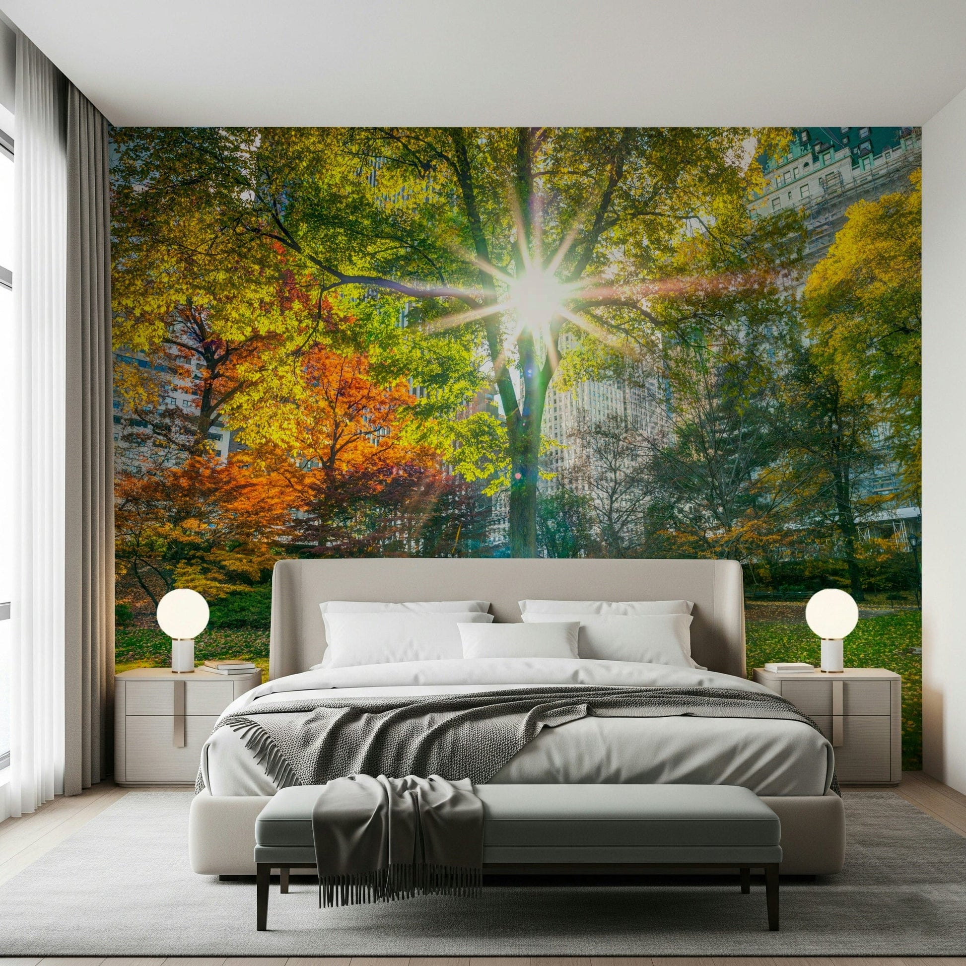 Sun Rays Through Trees Wall Mural