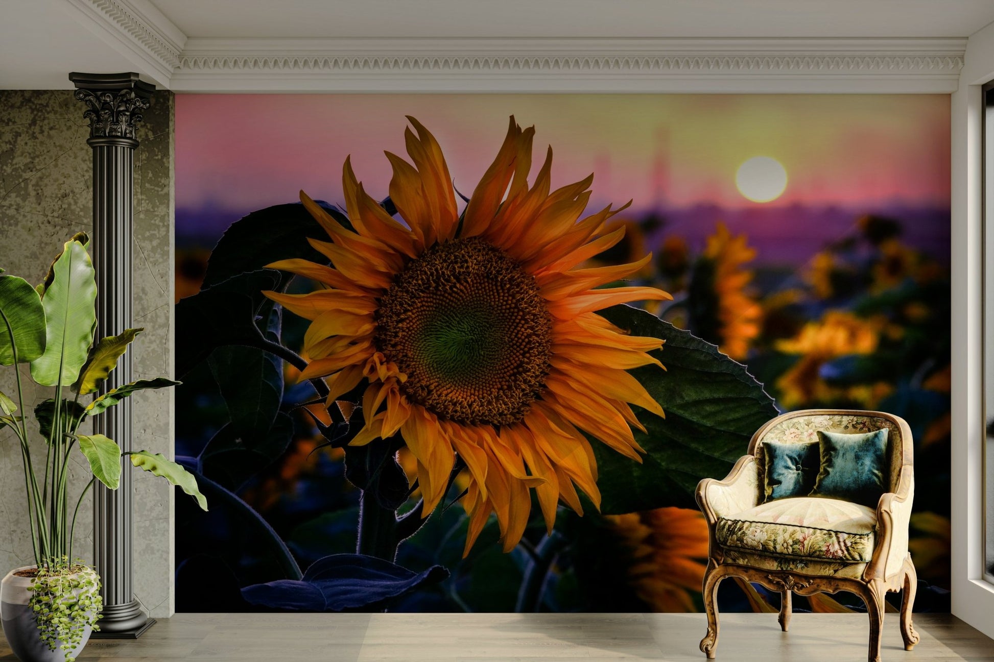 The scene is set during a sunset or golden hour.
