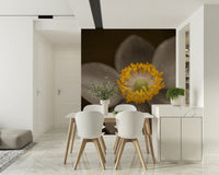 Detailed flower wall mural with vibrant center