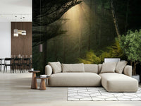 Woodland sunlight wall mural warms stylish sofa area