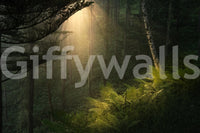 Sunlit Forest wall mural shows glowing woodland scene