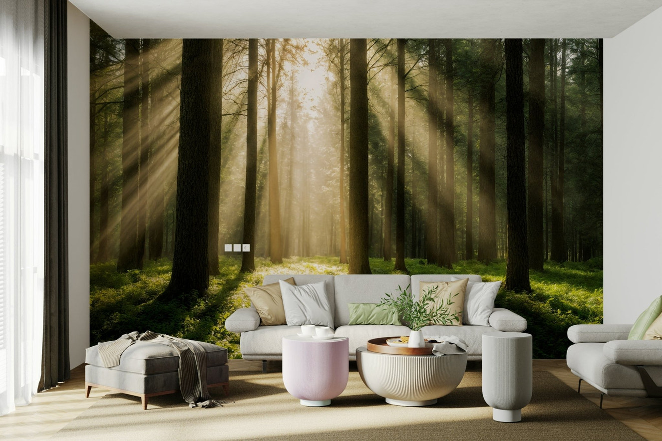 A wall mural depicting a serene forest scene with tall trees.

