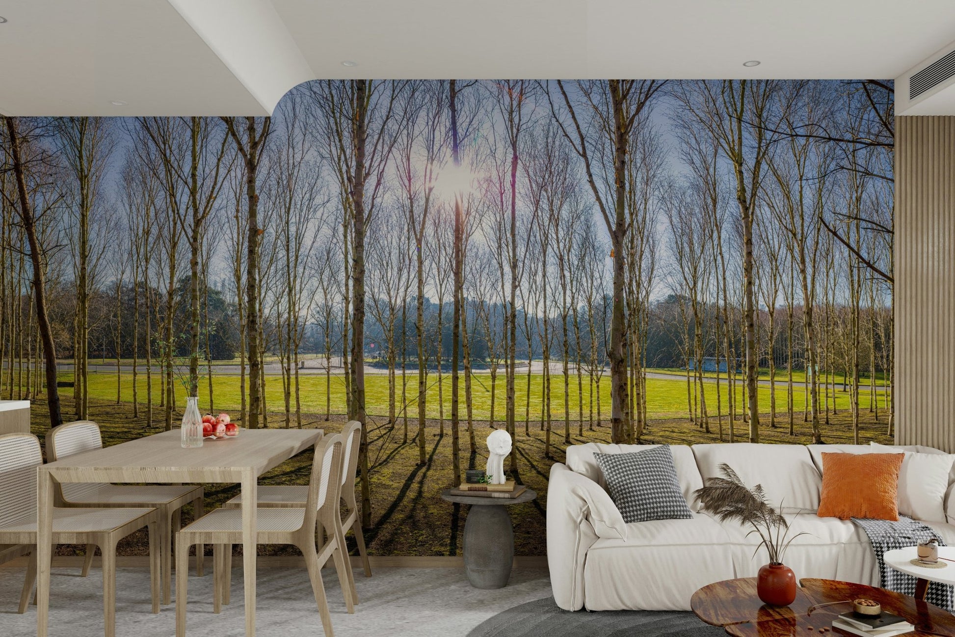 The trees are tall and numerous.

