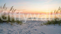 Sunrise Shores Wall Mural
