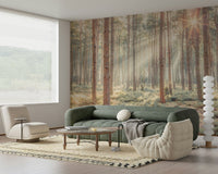 Sunrise's Kiss in the Misty Forest Wall Mural