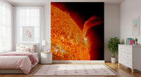 Sun’s Fury Wall Mural adding bold color to a city apartment