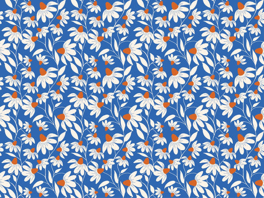 Floriography White Coneflower Wallpaper