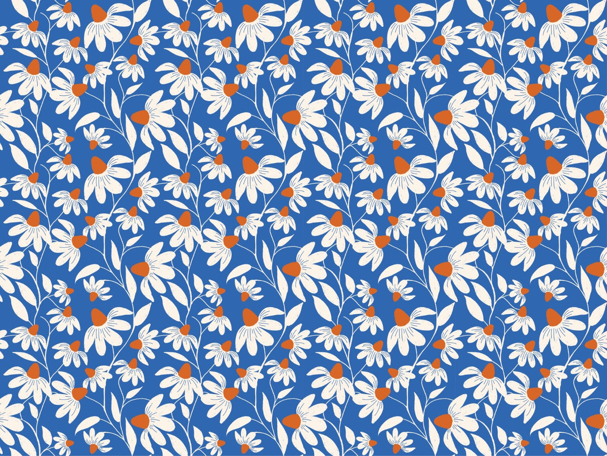 Floriography White Coneflower Wallpaper in your room — zoomed