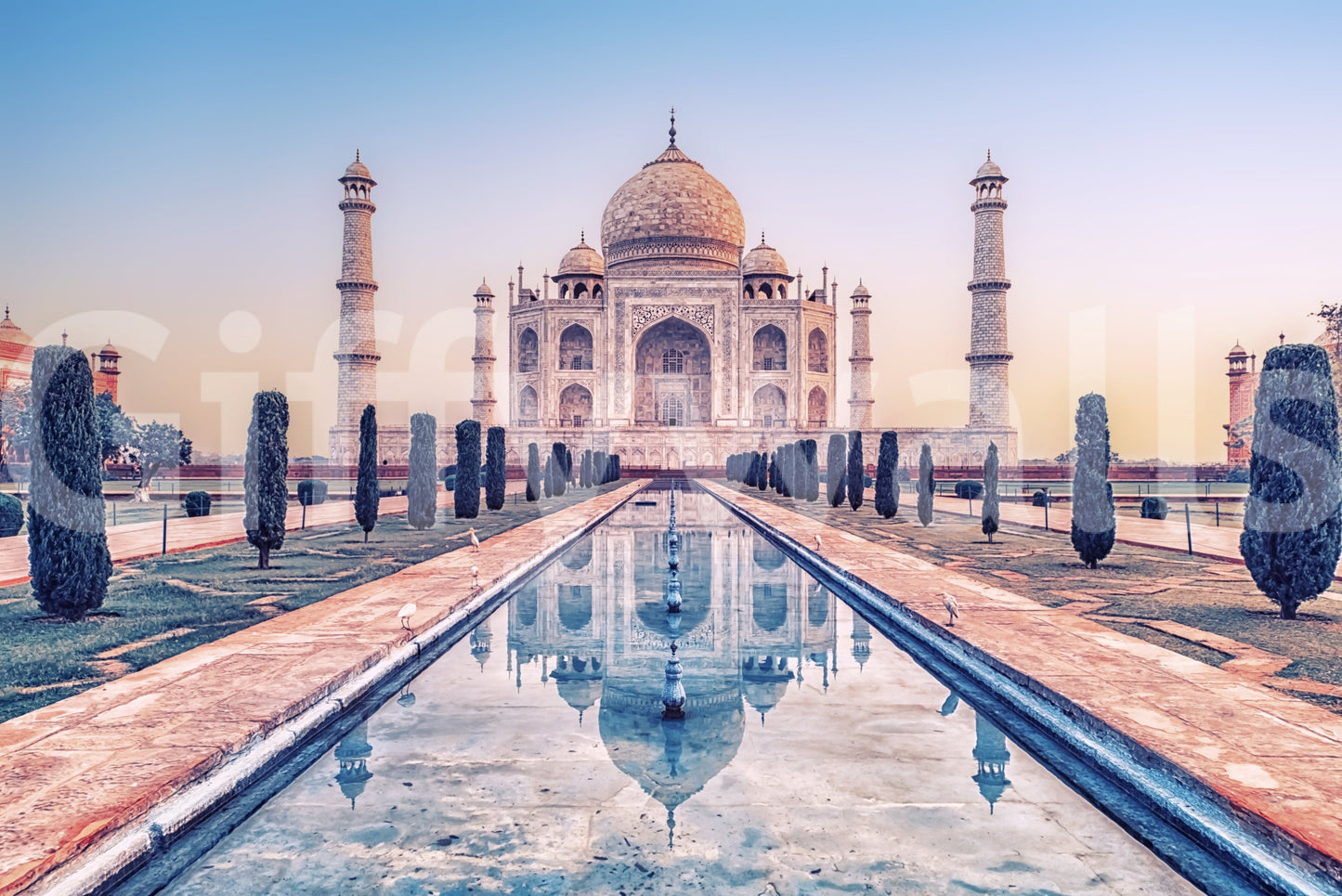 Agra's Jewel Wall Mural