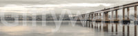 Architecture mural featuring Tay Road Bridge span

