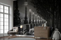 Bare, dark trees line the path on the right side, creating a dramatic contrast.

