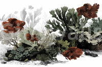 The Aquarium - Clean White Wall Mural