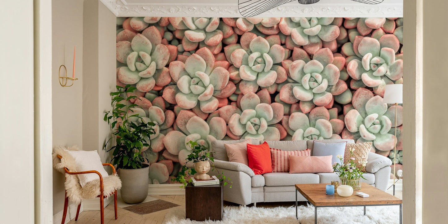 Natural succulents wallpaper for home decor

