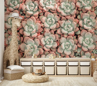Pastel succulent pattern wallpaper design

