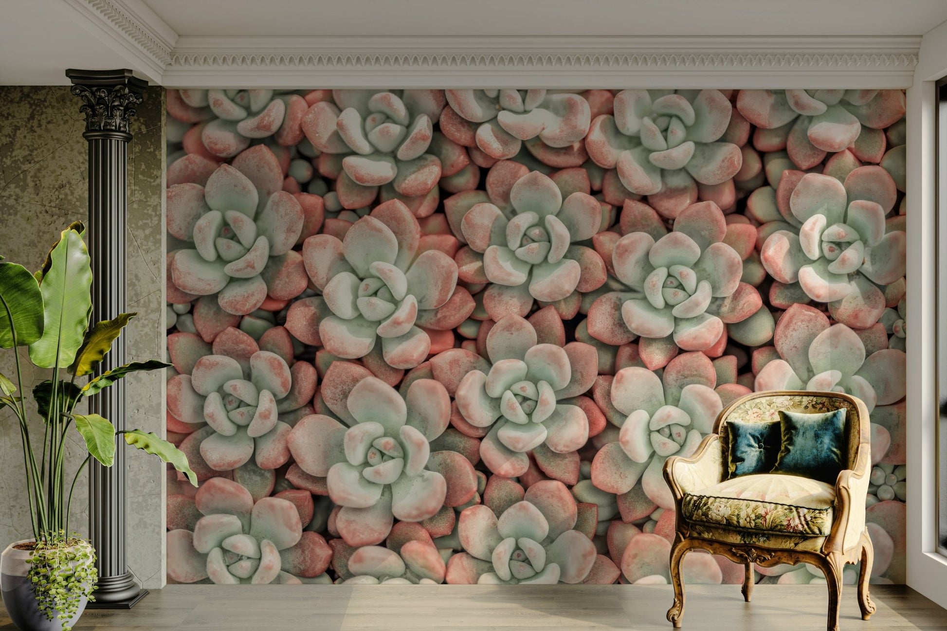 Soft pink and green succulent wall mural

