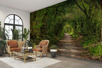 Great for calming living areas.

