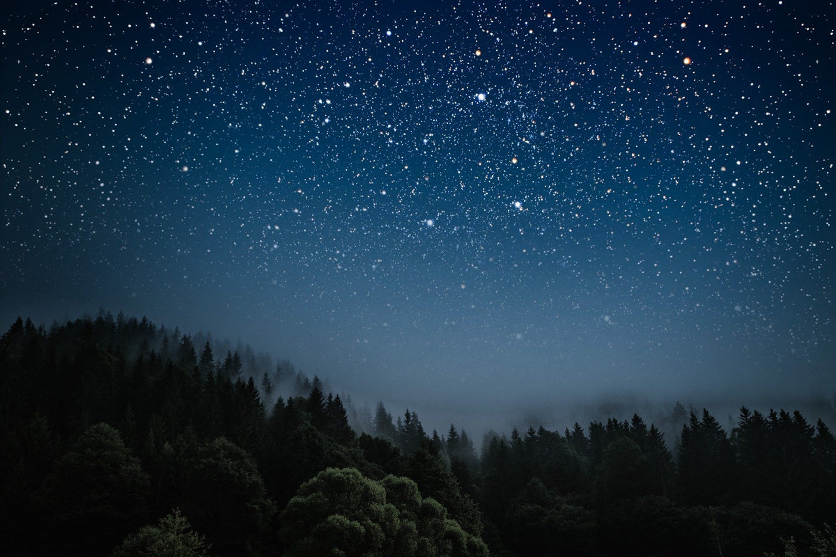 Starry Night Wallpaper Mural in your room
