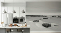 Tide Pools Wall Mural