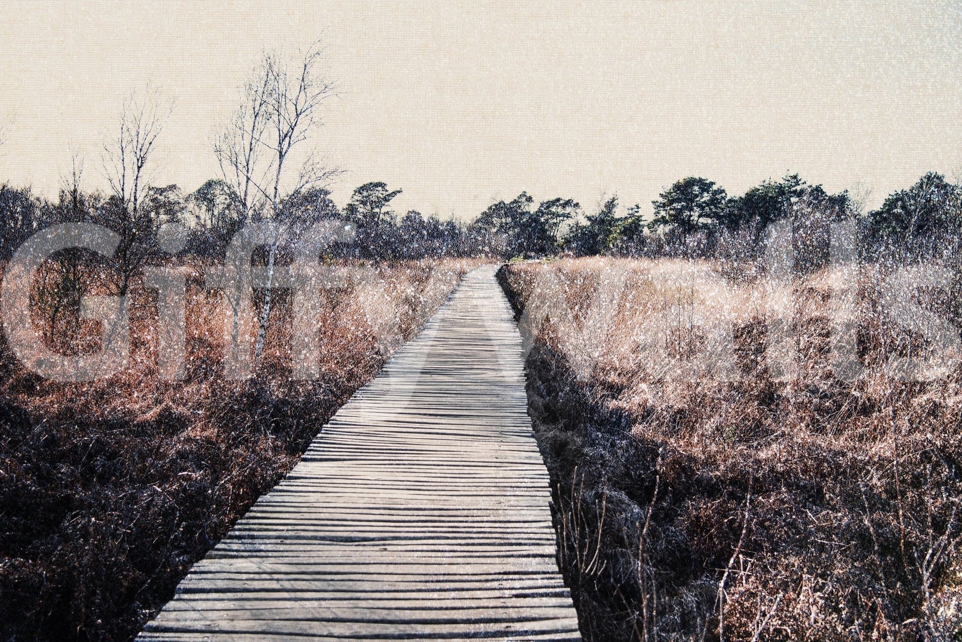 Artistic trail scene wallpaper that adds depth to a small apartment hallway.