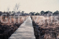 Artistic trail scene wallpaper that adds depth to a small apartment hallway.