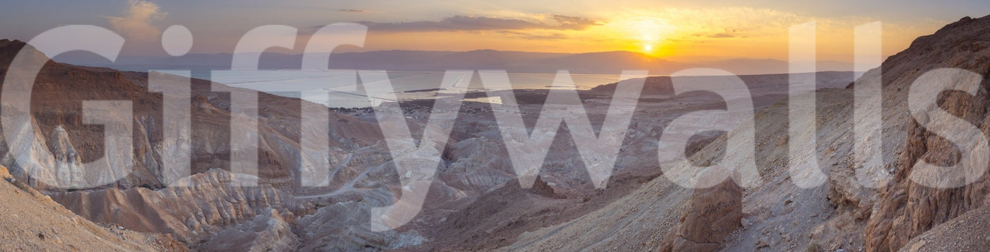 Minimalist desert dawn mural for rooms
